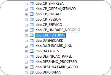 CamposCustomizados021