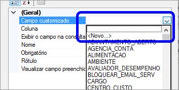 CamposCustomizados023