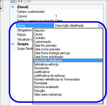 CamposCustomizados024