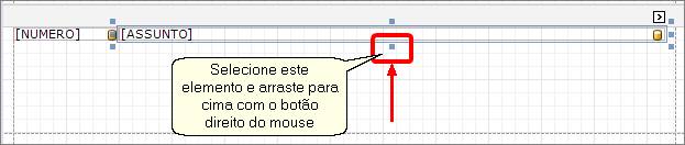 RelatorioSimples13