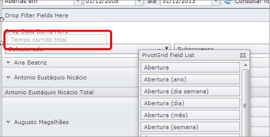 TabelaDinamicaOrdemServico016